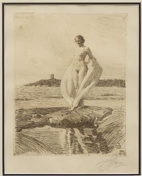 Anders Zorn, ”Svanen”.