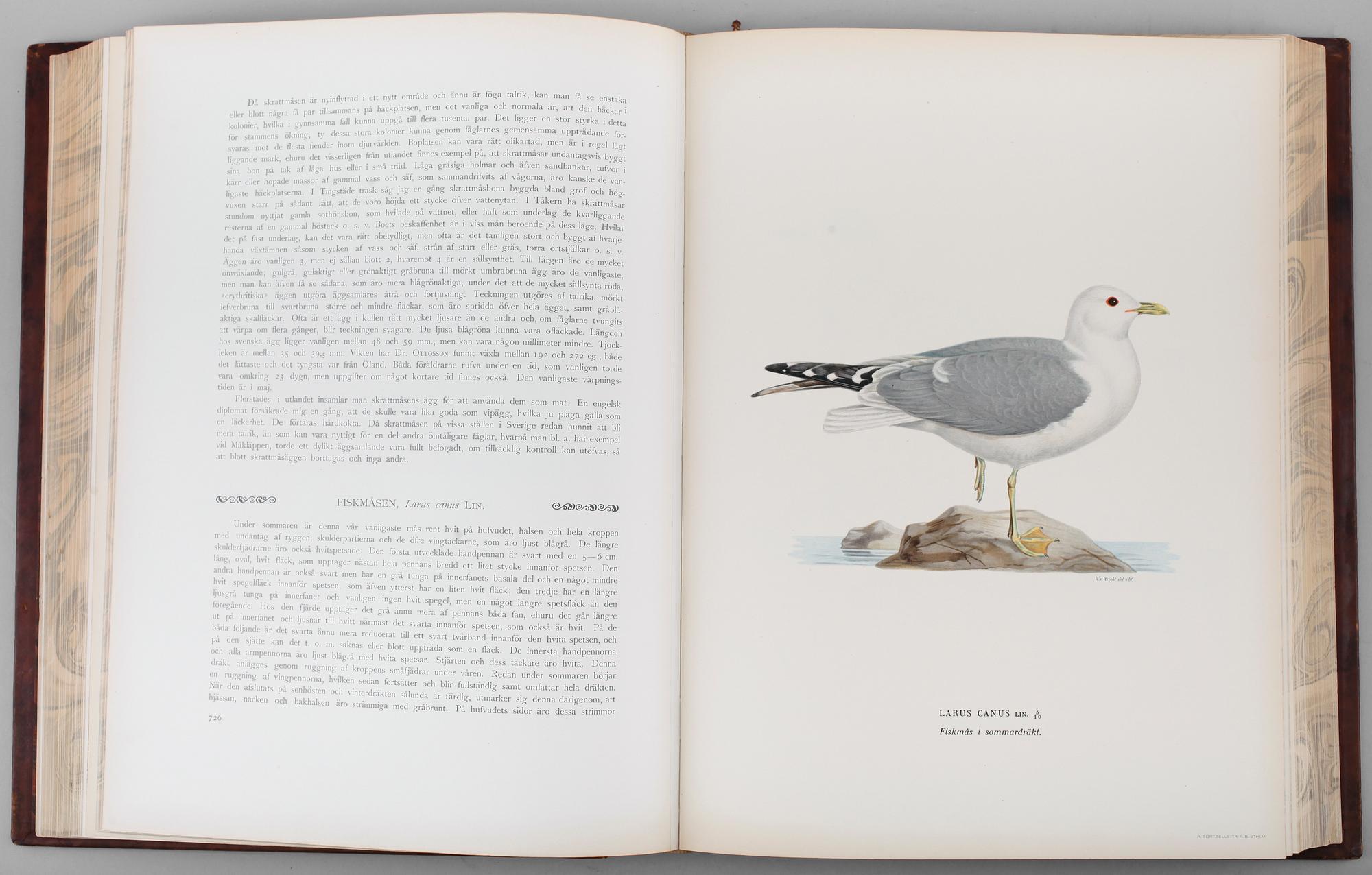 BÖCKER, 3 vol, "Svenska Fåglar", Wilhelm von Wright, Förlaget Svenska Fåglar Stockholm, 1927.