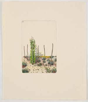 Sten Eklund, "Kullahusets hemlighet" (Kullahussviten).