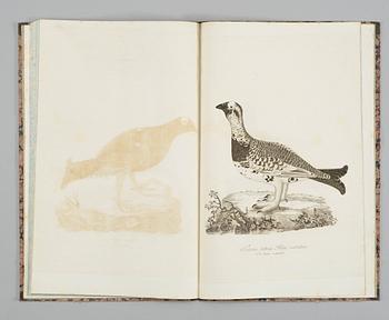 ANDERS SPARRMAN (1748-1820), Svensk Ornithologie med efter naturen colorerade tekningar, Stockholm 1806.