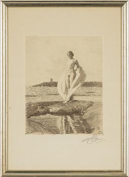 Anders Zorn, "Svanen".