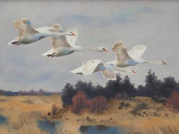 Bruno Liljefors, Swans.