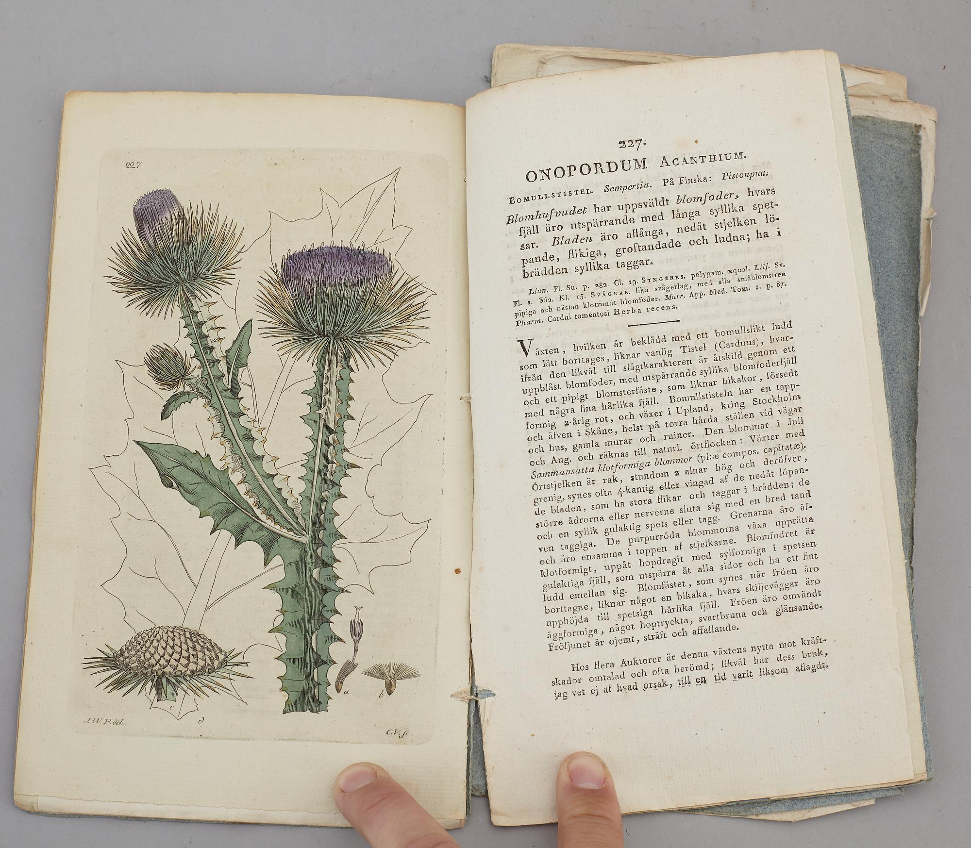 JOHAN WILHELM PALMSTRUCH, "Svensk Botanik, vol I-V. 1803-1805.