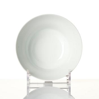 A fine famille rose ''prunus and magnolia' bowl, Qing dynasty.