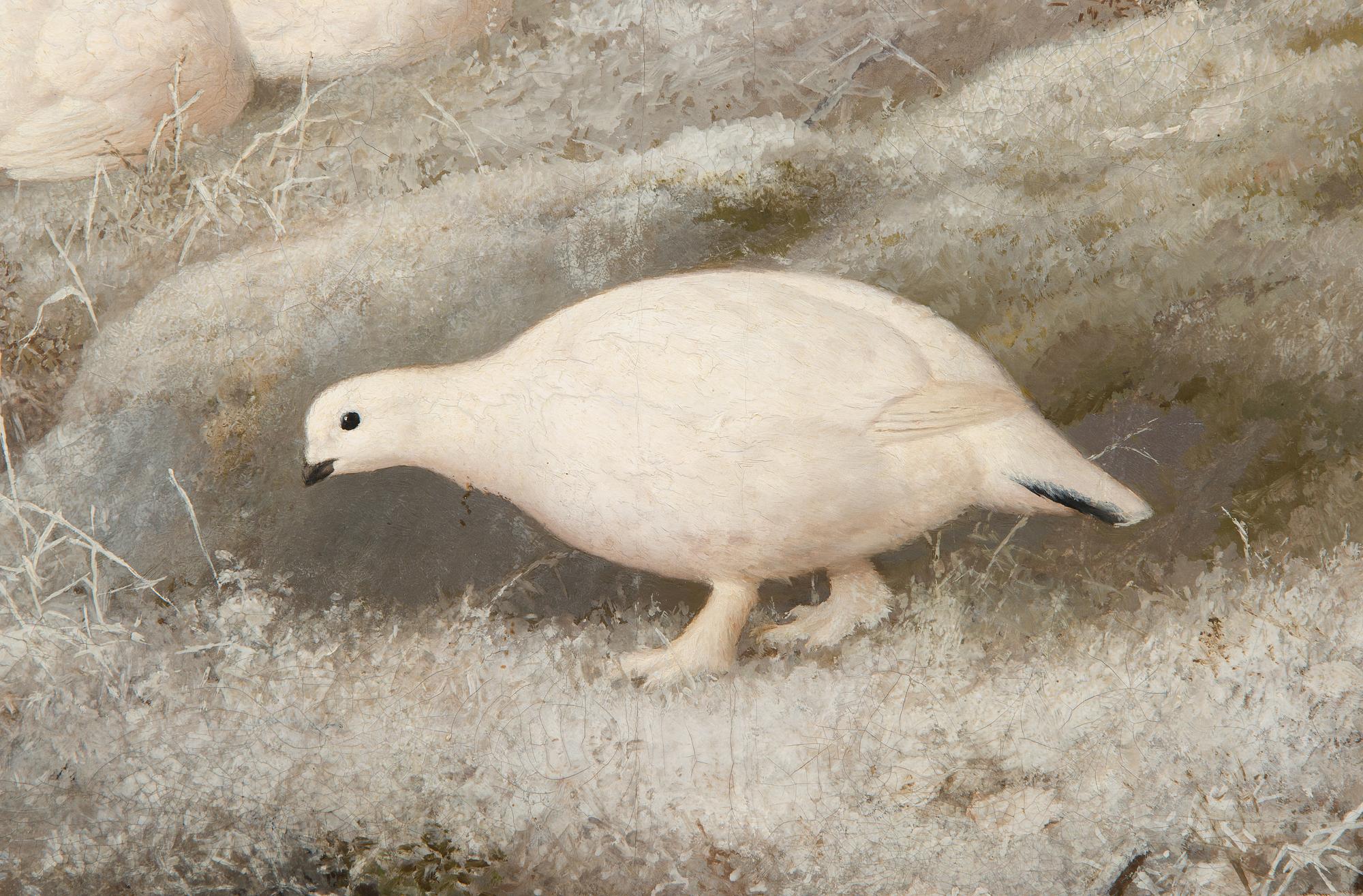 Ferdinand von Wright, Ptarmigans.
