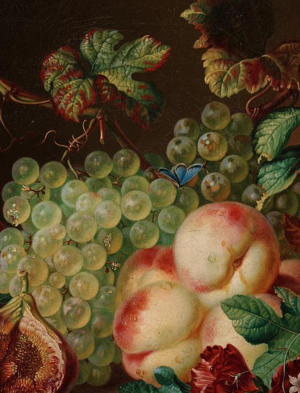 Amalie Kärcher, Still life with plums, figs, grapes, and insects.