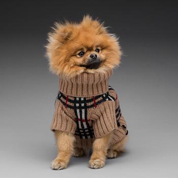 HUNDJACKOR, 2 stycken, Moncler samt Burberry.