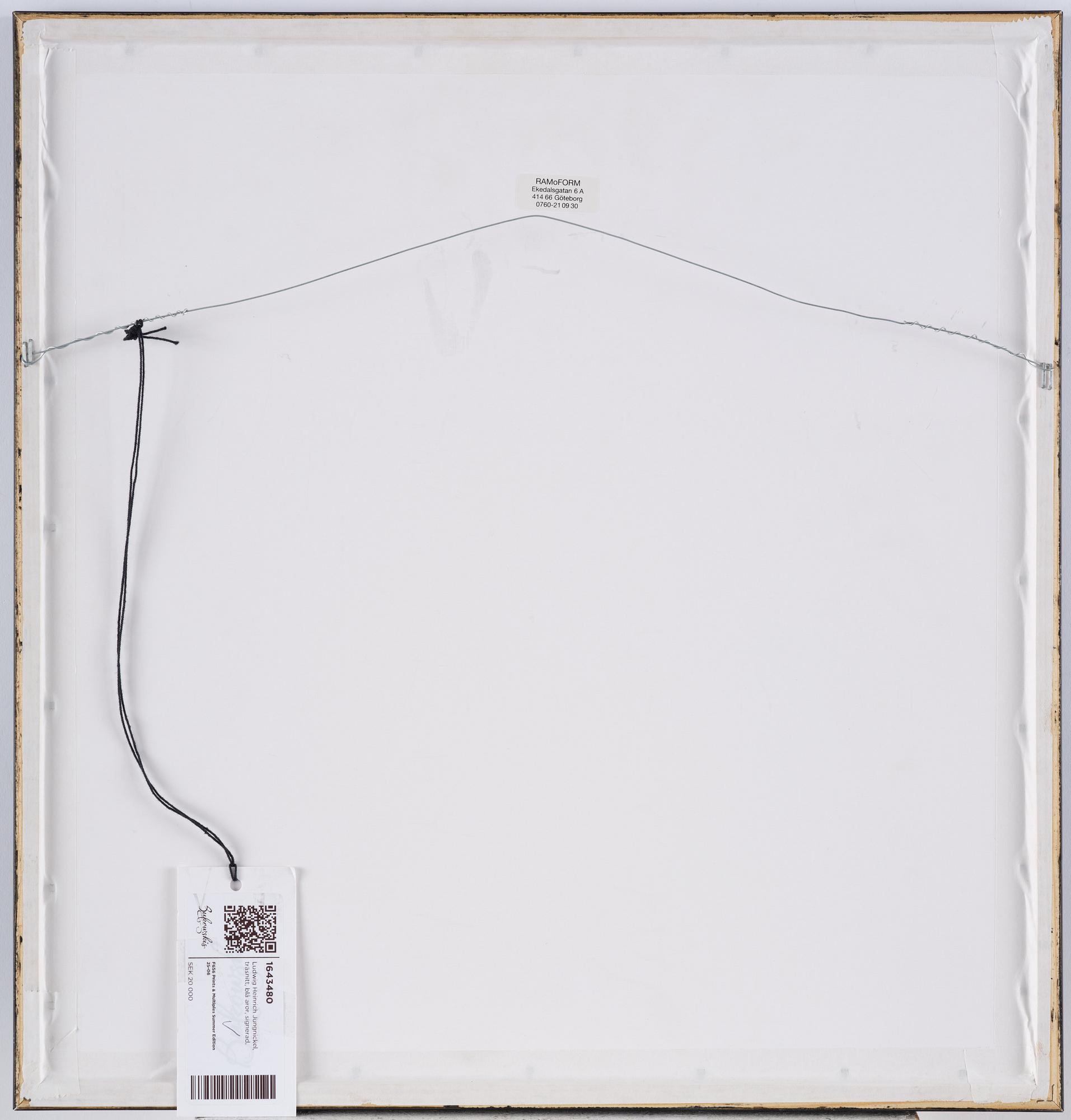 Ludwig Heinrich Jungnickel, "Three Blue Aras".