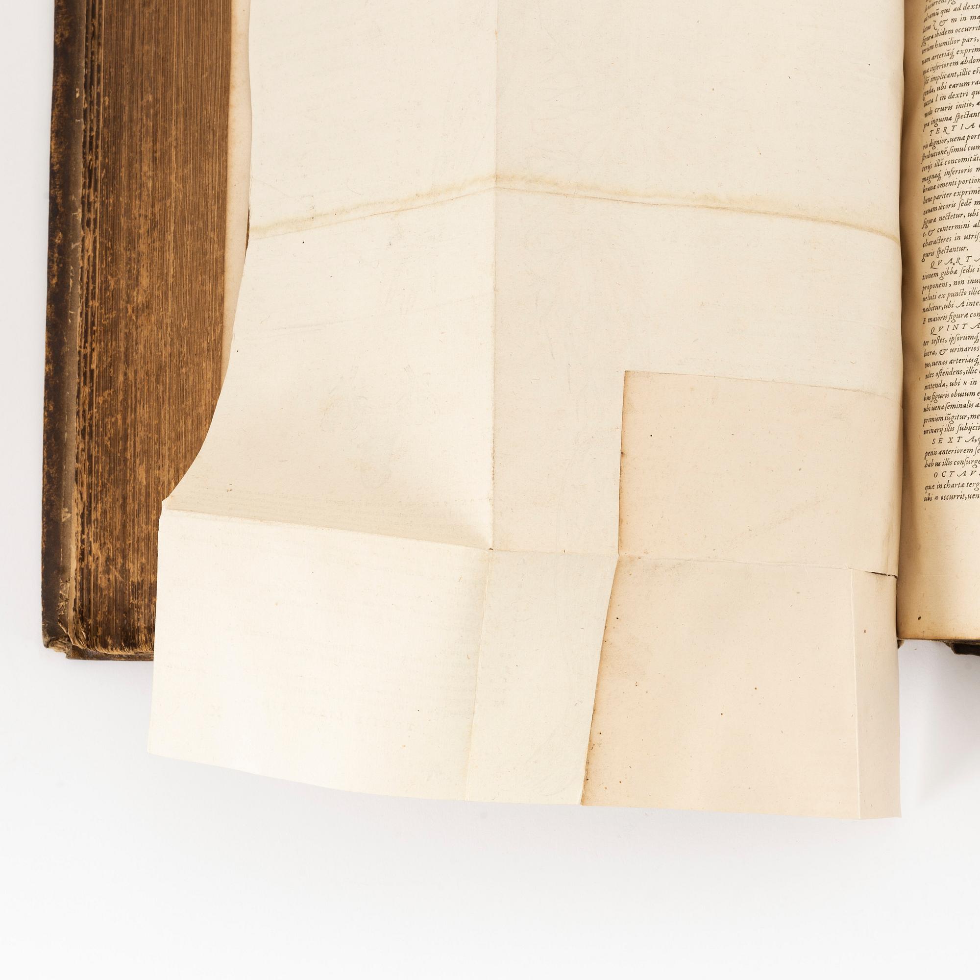 The second and best edition of Vesalius’ magnum opus, 1555.