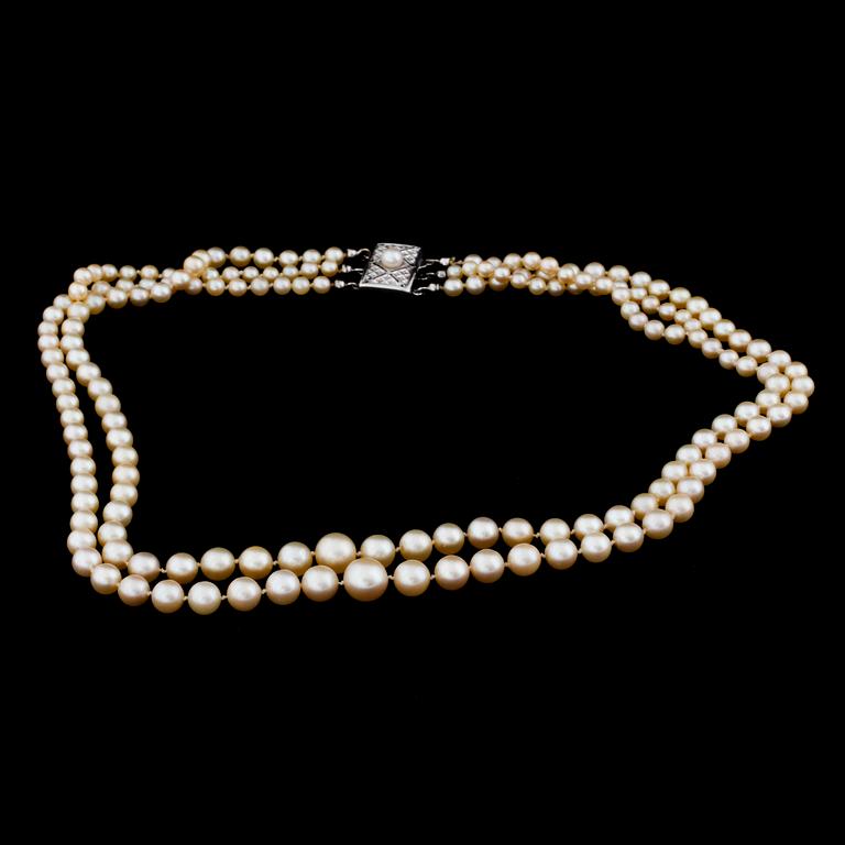 A culture pearl collier.