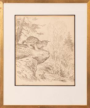 Lindorm Liljefors, The fox family.