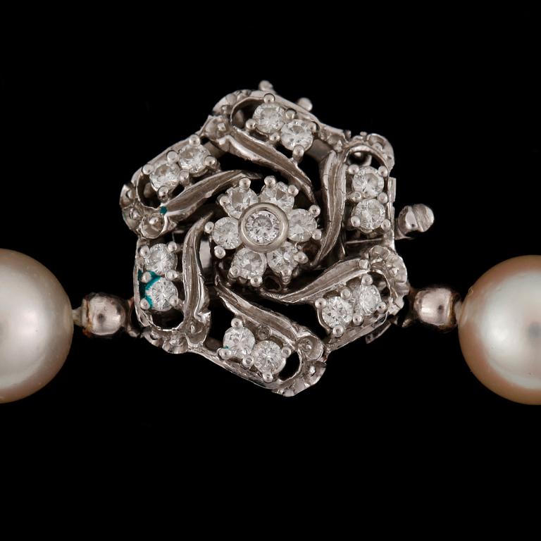 A cultured pearl necklace.