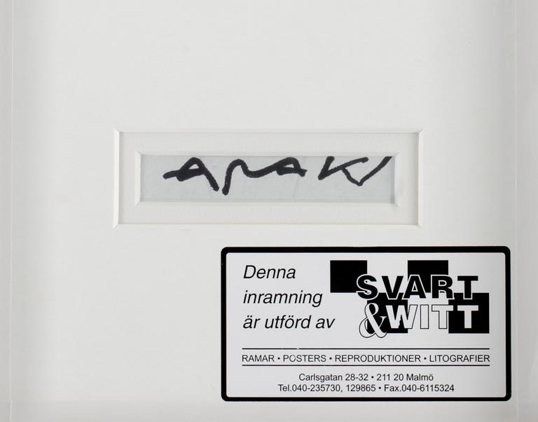 NOBUYOSHI ARAKI, polaroidfoto. Sign a tergo.