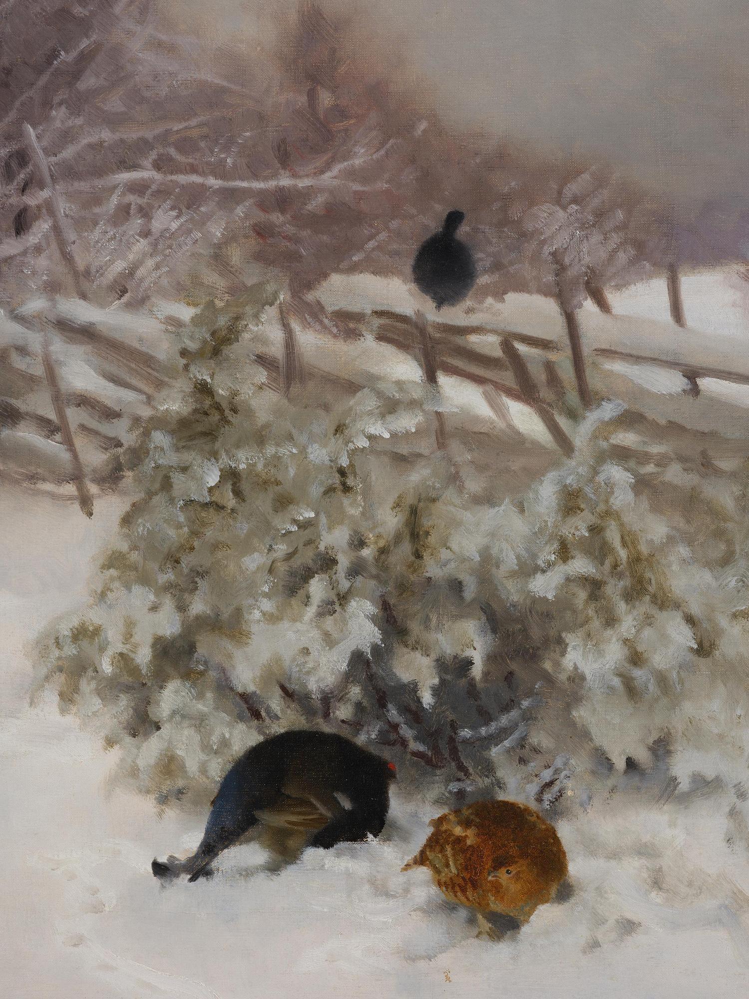 Bruno Liljefors, Grouses.