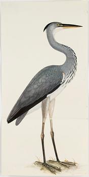 Olof Rudbeck A portfolio and two books, 1985. 35 litographs in color.