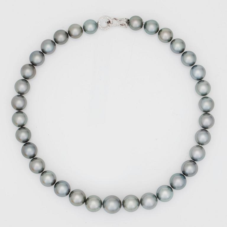 A cultured tahiti pearl necklace.