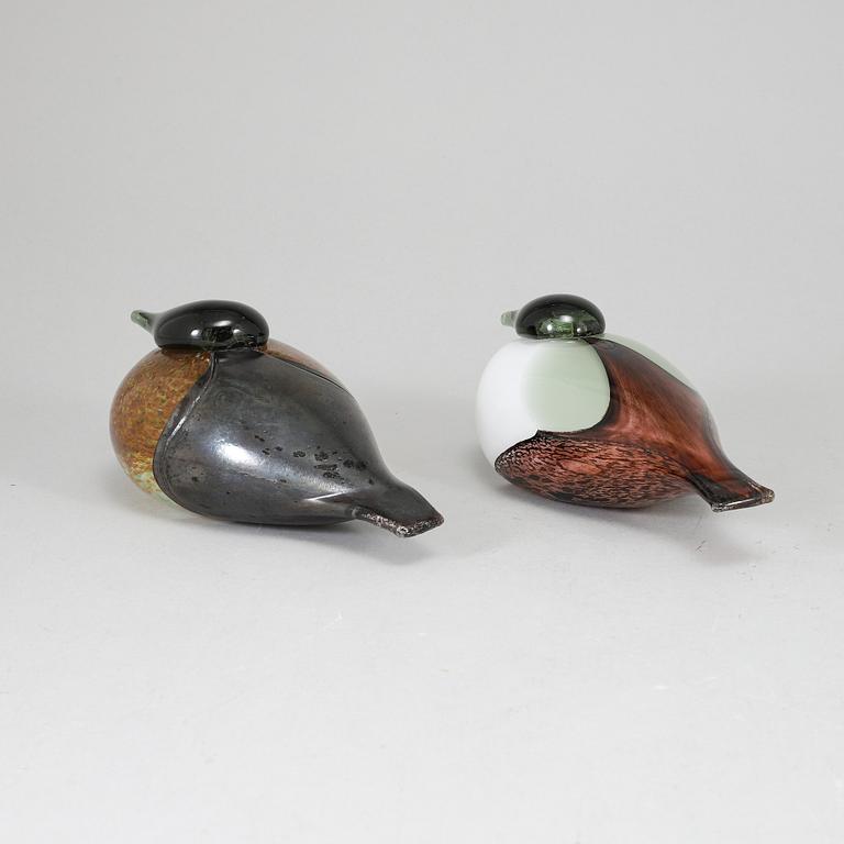 OIVA TOIKKA, två glasfåglar, Black Male and Female Eider (Haahka ja Haahkatar) 1986, signerade O. Toikka Nuutajärvi.