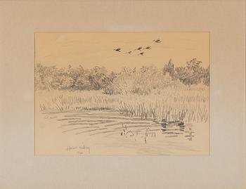 Harald Wiberg, Fågelsträck.