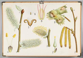 SKOLPLANSCHER, 4 st, 1900-talets mitt.