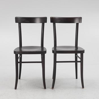 Chairs, 4 pcs, model 77, Ton, Czech Republic.