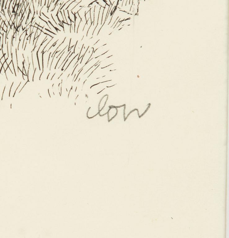 Ilon Wikland, Sagohäst.