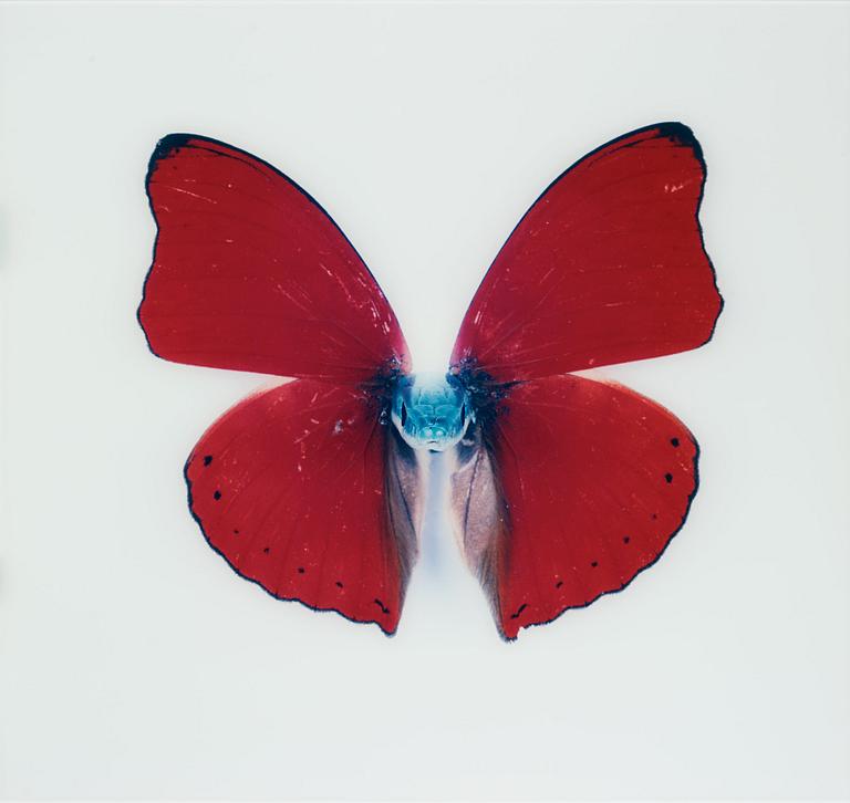 Nathalia Edenmont, "Kirin", 2005-2007.