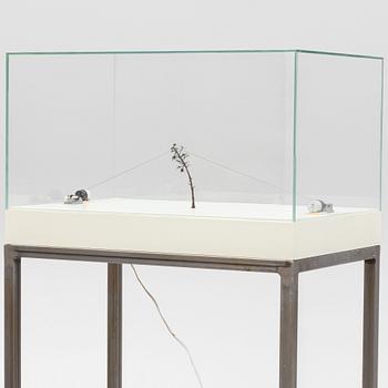 Hanna Ljungh, "Orchestration (Yesterday - Bolero)".