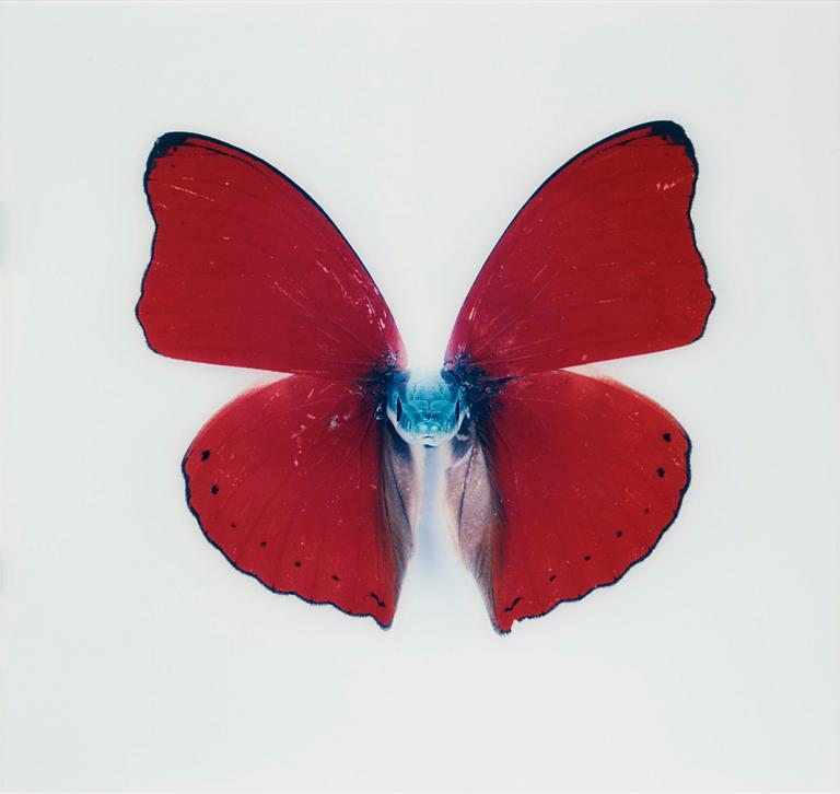 Nathalia Edenmont, Nathalia Edenmont, "Kirin", 2005-2007.
