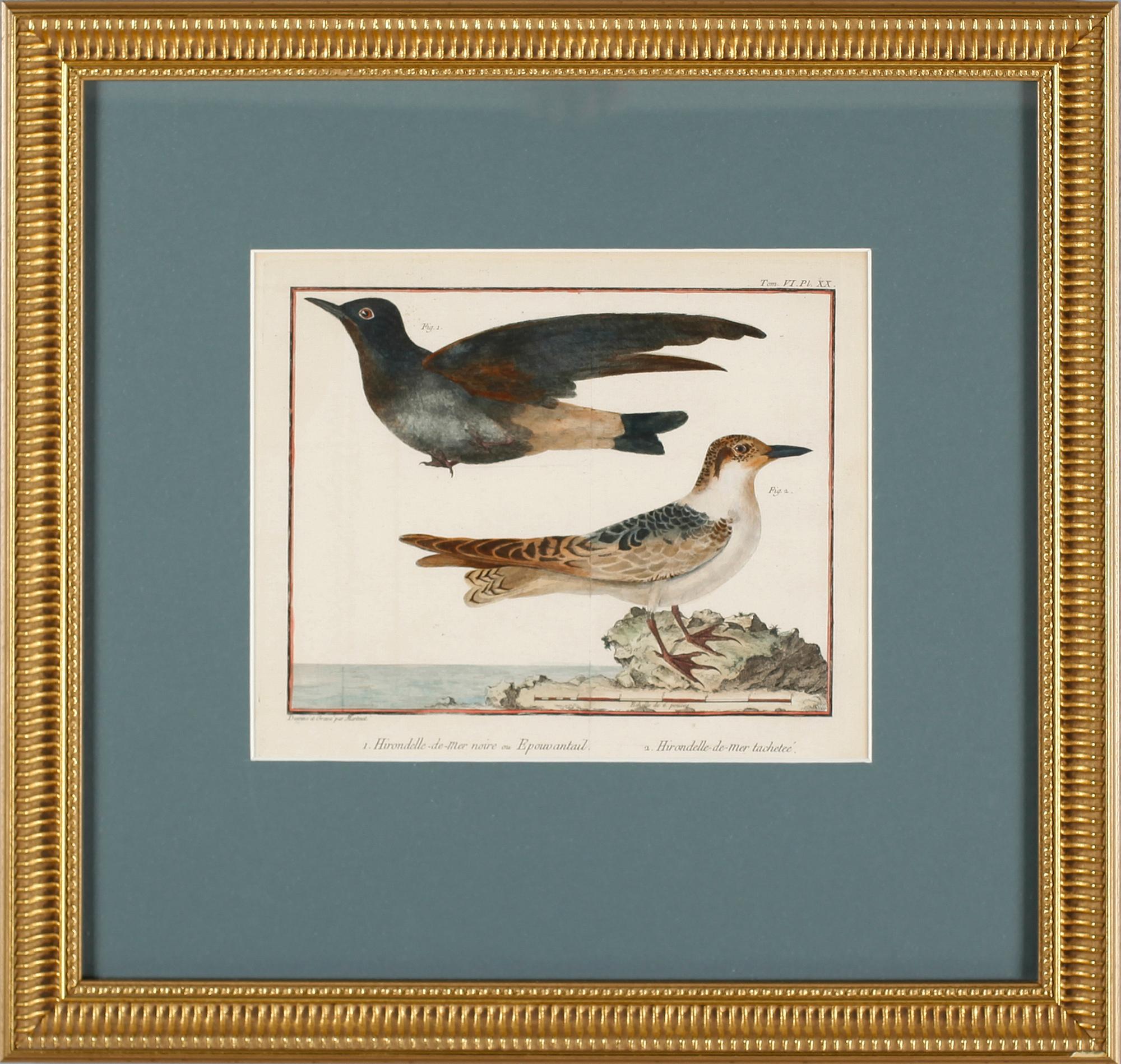TAVLOR, 4 st, efter Martinet, gravyrer, kolorerade, 1700-/1800-tal.