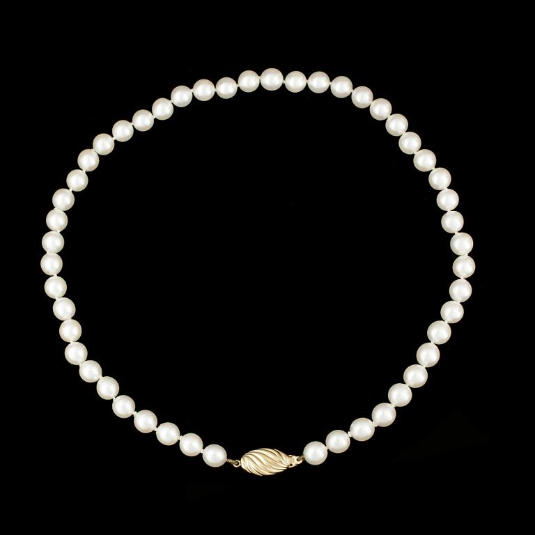 COLLIER, odlade saltvattenspärlor med lås i guld.