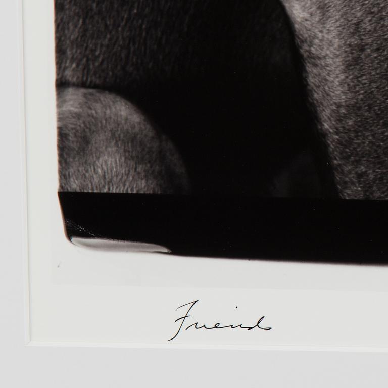 WILLIAM WEGMAN, photography signed William Wegman, edition of 1500.