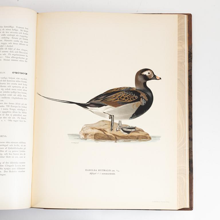 Books, 3, "Svenska fåglar" by von Wright.
