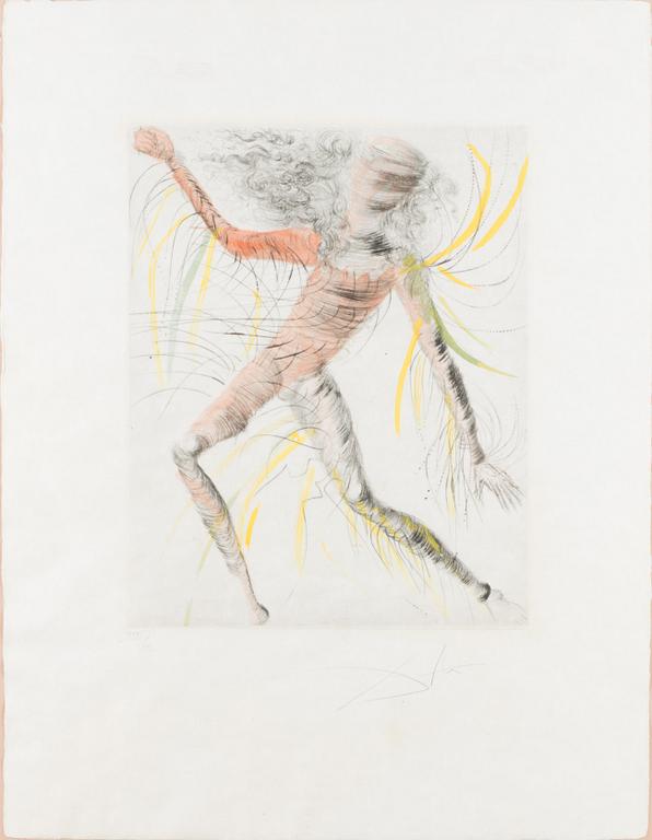 SALVADOR DALÍ, käsinväritetty etsaus, signeerattu ja numeroitu XXXI/C.
