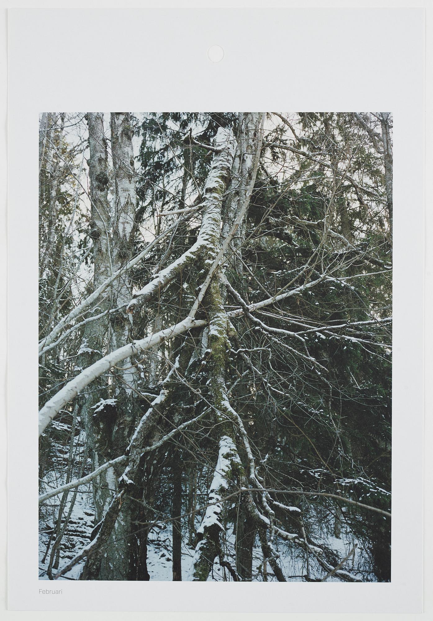 ANDREAS ERIKSSON, portfolio. Signed AE inside the box and numbered 18/250.