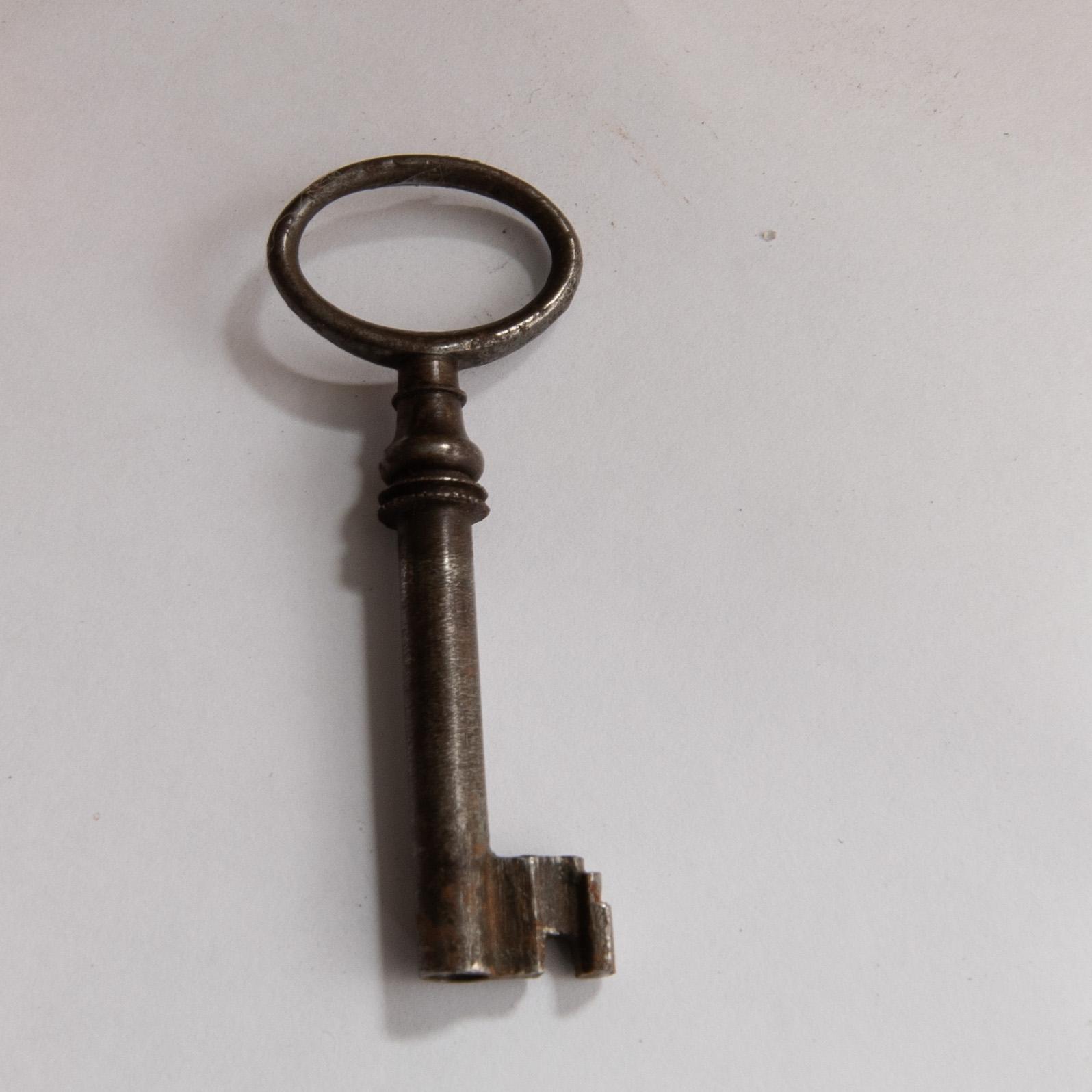 Cassone Renaissance style 19th century.