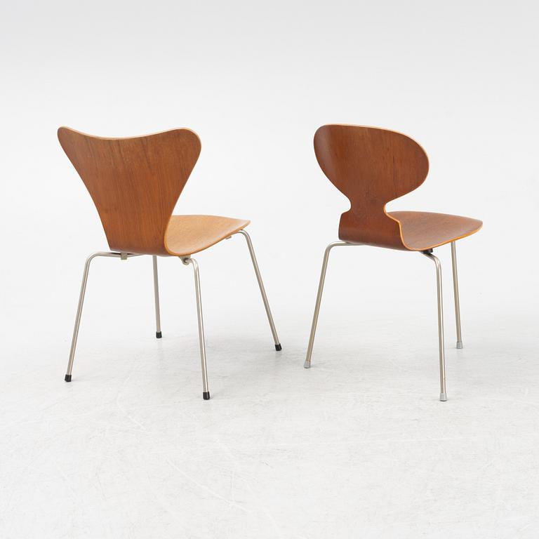 Arne Jacobsen, two teak veneered cahirs, Fritz Hansen, Denmark, 1960's.