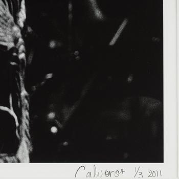Torbjörn Calvero, "Led Zeppelin, Earl's Court, London 23 maj 1975".
