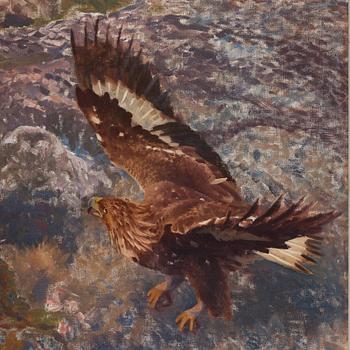 Bruno Liljefors, Golden eagles attacking a hare.