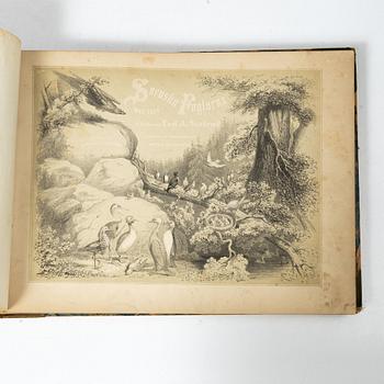 Carl J. Sundevall & Peter Åkerlund, three books, 'Svenska Foglarna'.
