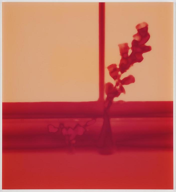 Uta Barth, "Untitled (06.11)".2006.