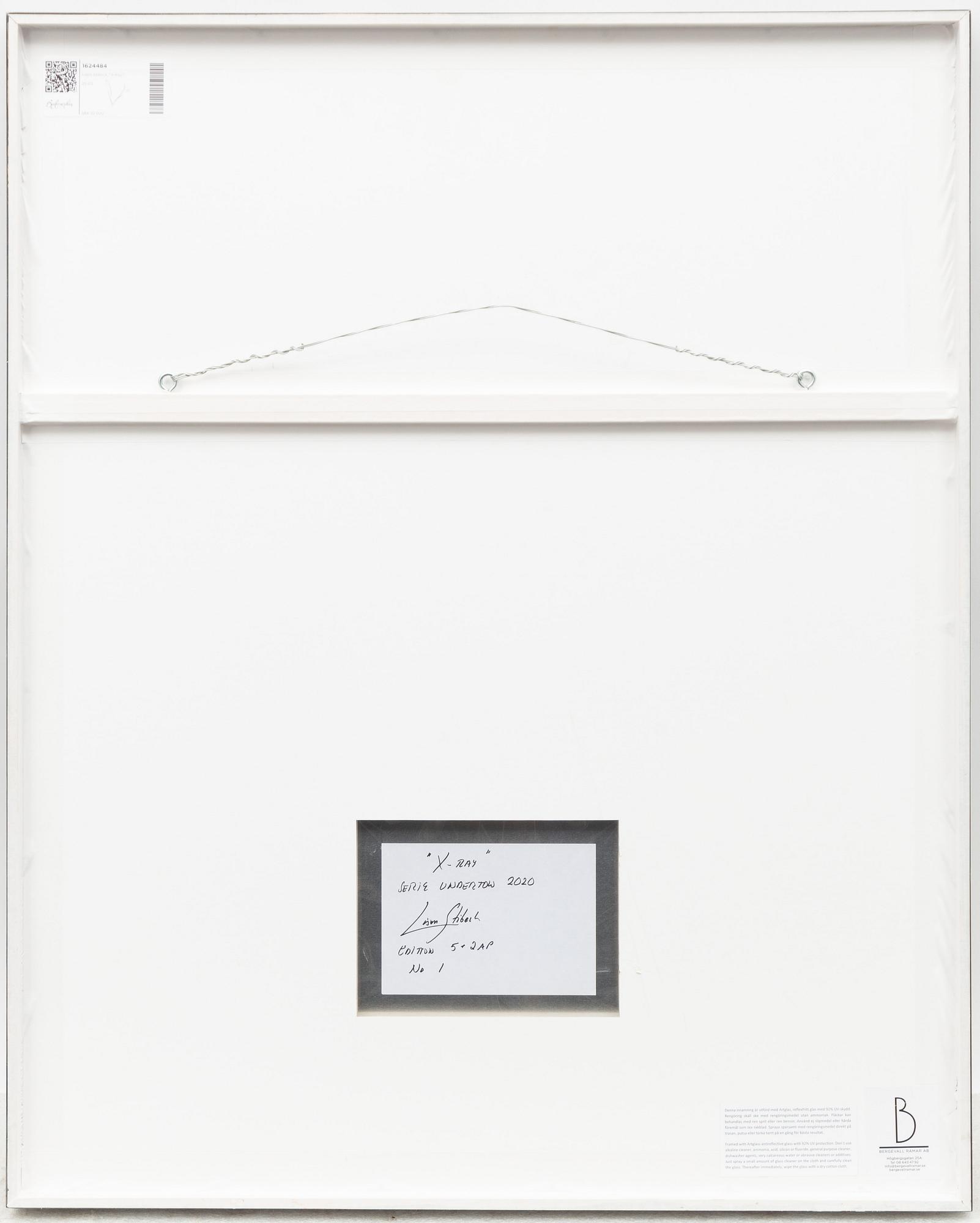 Lisen Stibeck, "X-Ray".