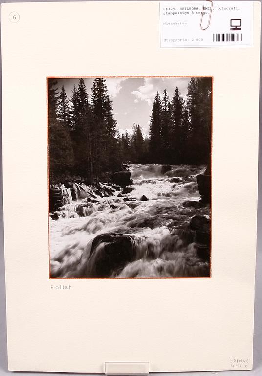 HEILBORN, EMIL, fotografi, stämpelsign à tergo.