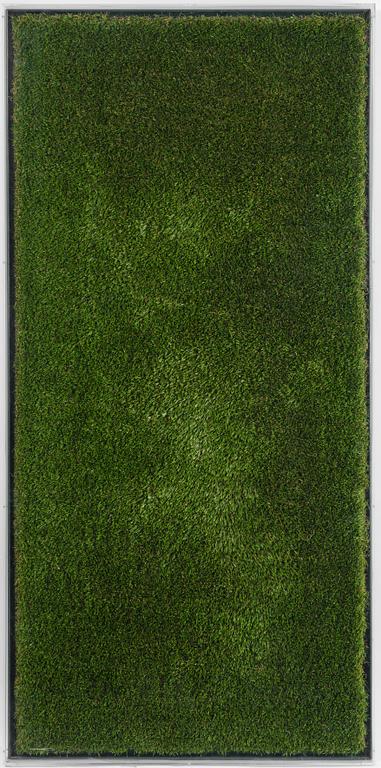 Yves Scherer, "Fructis Hardcore (1)".