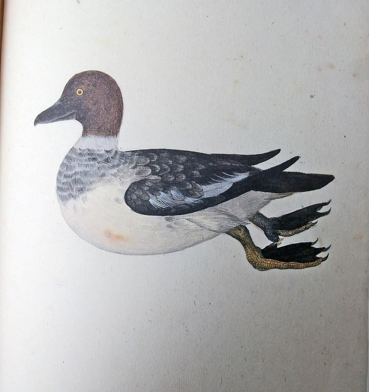 BÖCKER, 2 vol, Olof Rudbeck d y, Iter Lapponicum - Resan till Lappland, nr 1485/1999.