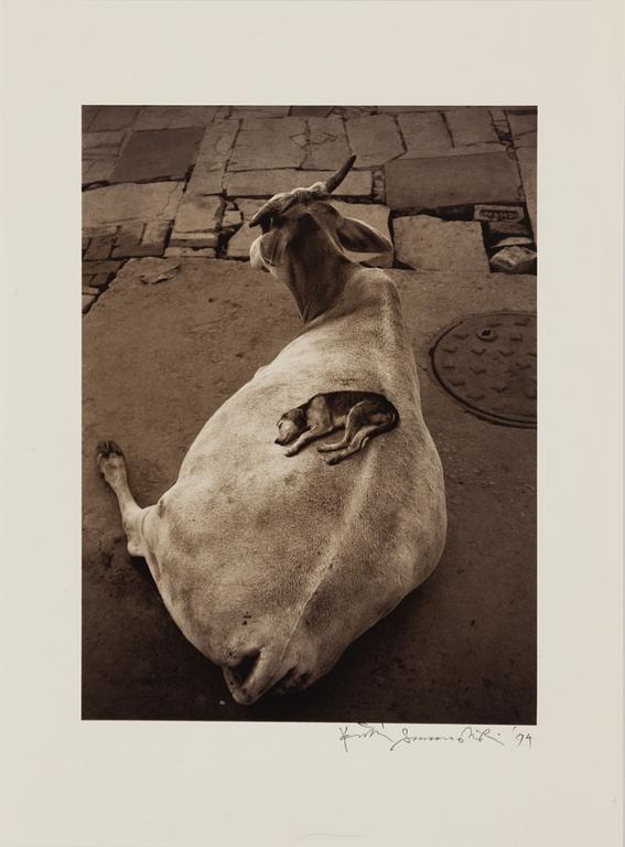 Pentti Sammallahti, "Varanasi, 1999".