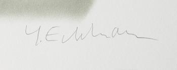 Yrjö Edelmann, "Packed blue and grey heaven".