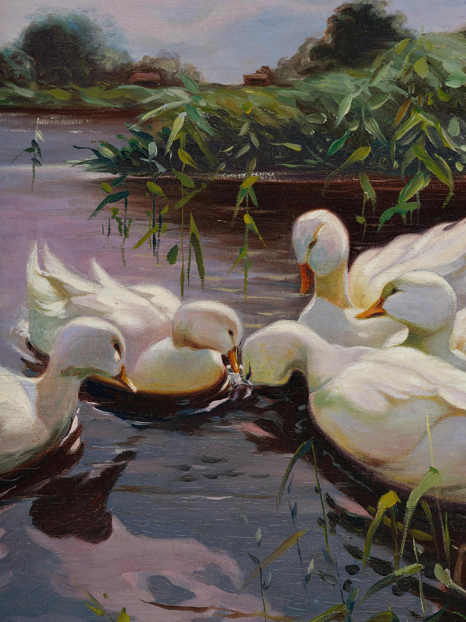Ivar Nyberg, Cygnets.