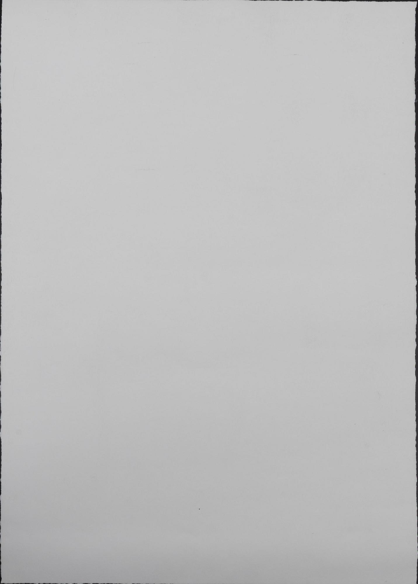 Mr Brainwash (Thierry Guetta), Mr Brainwash, "Obama Superman".