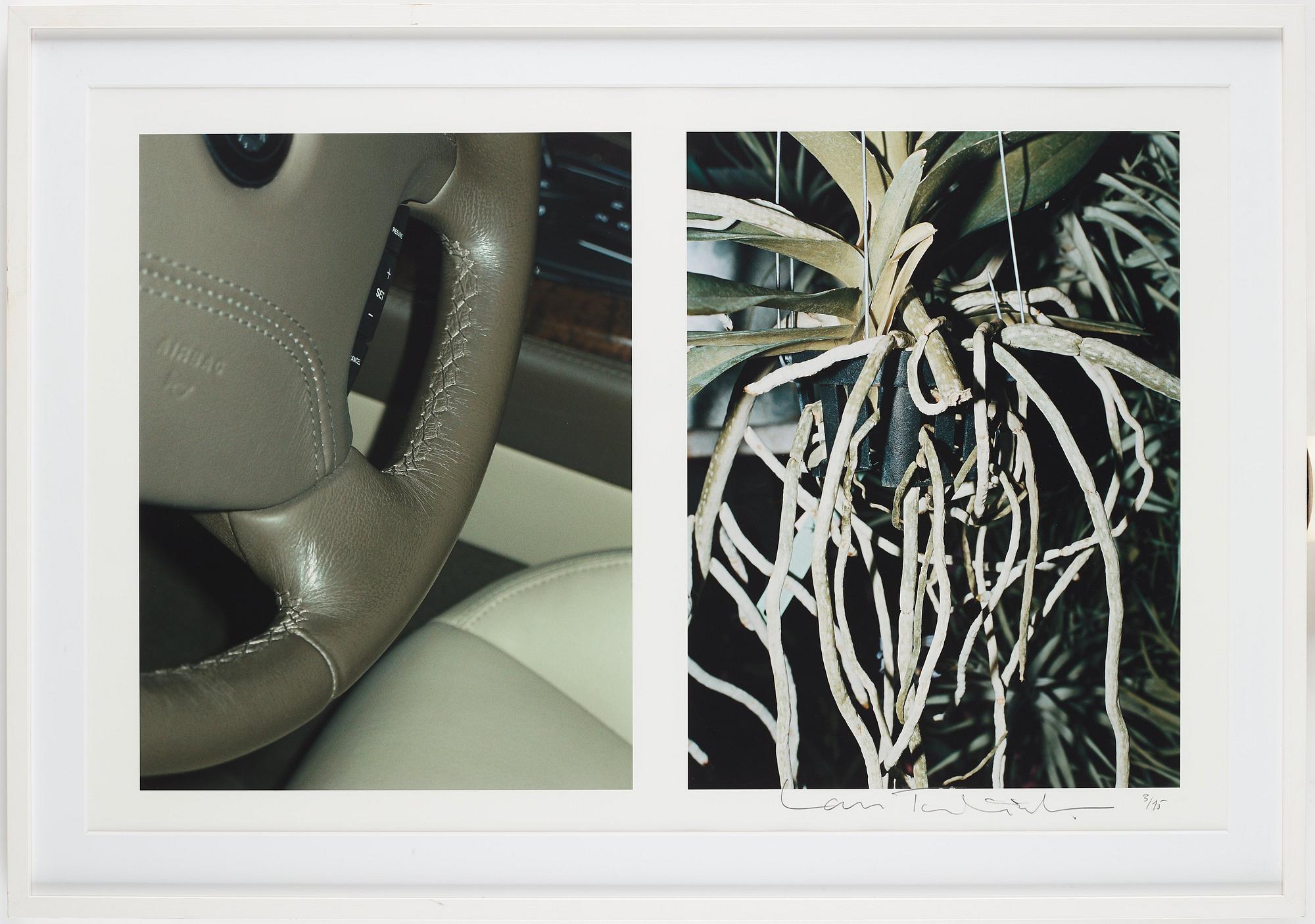 Lars Tunbjörk, From the series "Wunderbaum".