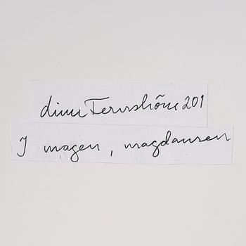 Linn Fernström, "I magen, magdansen".